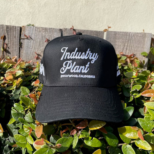 Industry Plant Black Hat